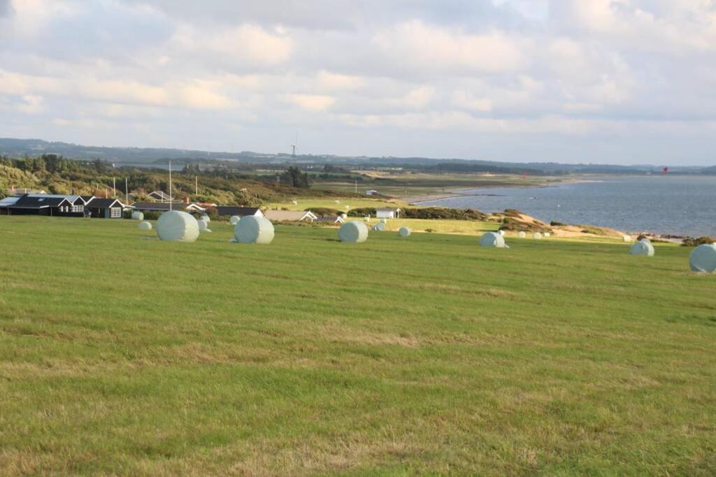 Beautiful And Amazing View - 3 Bedroom Cottage Vinderup Bagian luar foto